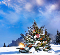 Background cloth photography props shooting Photo Background Paper childrens photo studio background pp paper Christmas CM-6482