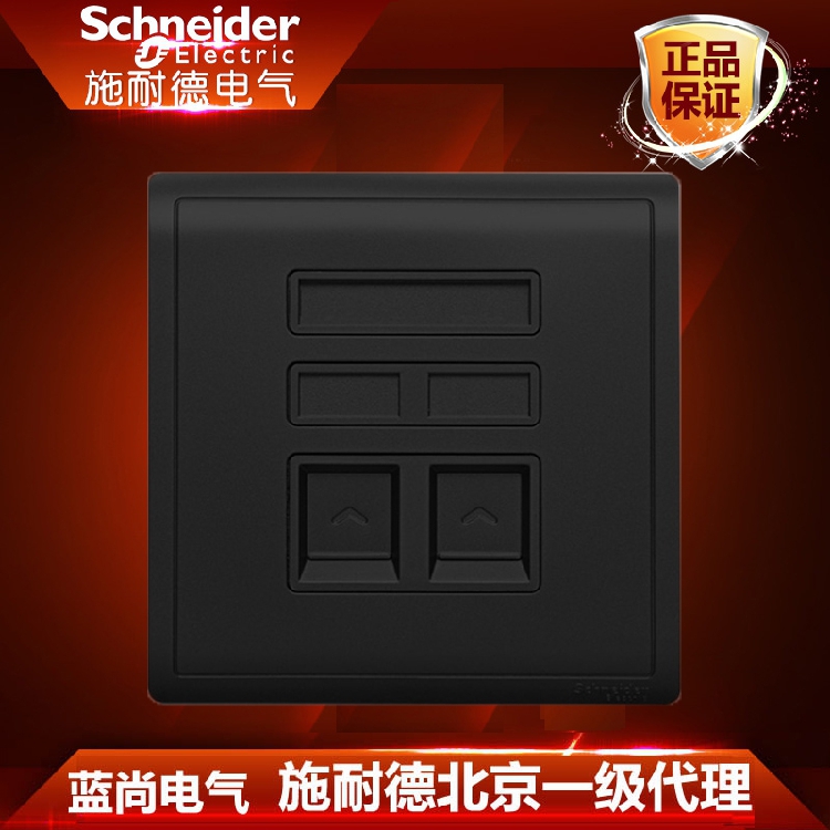Schneider Fengshang Series Freehand Black Belt Protection Gate Six Types of Information Computer Telephone Network Telephone Socket