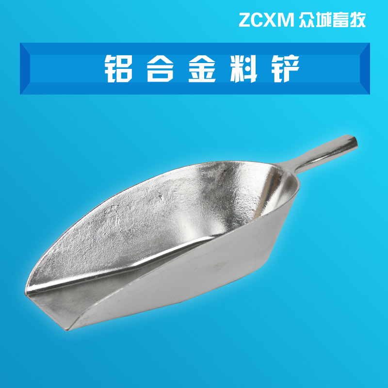 xp变脸王要钱