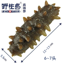 Wild Island Wild Instant Sea Cucumber Instant Sea Cucumber Gift Box 500g Shunfeng
