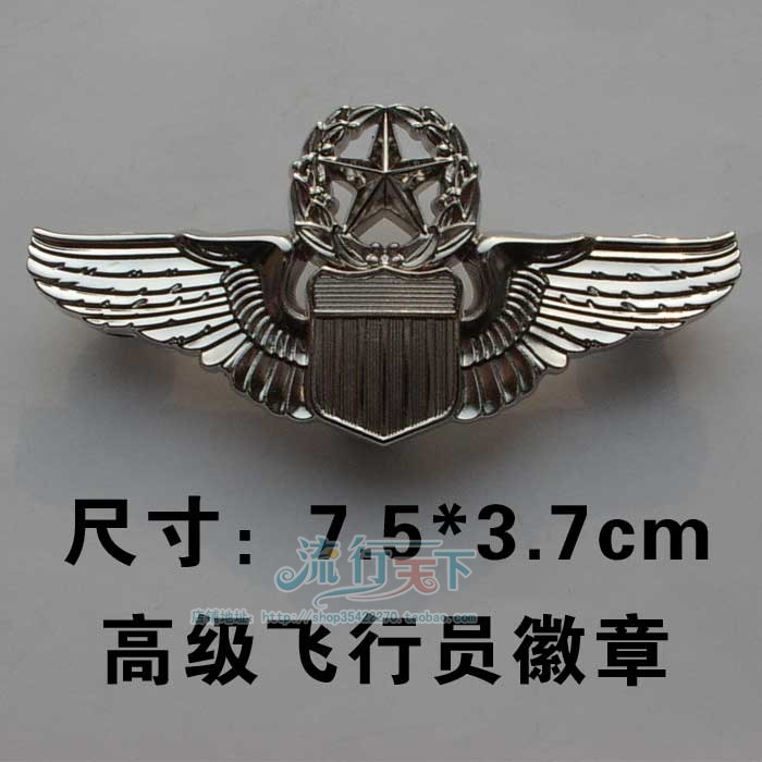 Metal Badge Army Air Senior Pilot Chapter Captains Seal Silver Badge