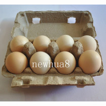 8 pulp egg box 8 yellow pulp egg box 8 egg box 8 pulp egg box 8 pulp egg box yellow pulp