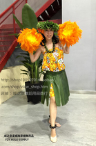 Hawaiian Hula Suit Traditional Hula Adult Children Performance Performance Costume Hula Kahiko