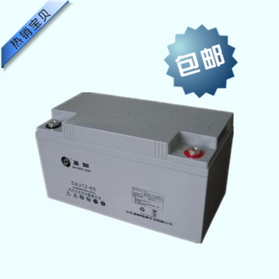 Sanyang battery SP12-65 12V65AH Sanyang SP12-65 original warranty for three years