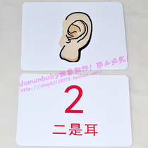 Digital tag card fast memory code 0 to 6 years old infants right brain development training early education toys