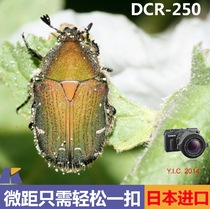 Japan Raynox DCR-250 External clip-on close-up macro lens 52-67mm adapter ring
