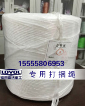 Futian Revo spanked machine special bale rope for bundling rope packing rope plastic rope