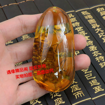 Artificial Amber scorpion pendant Rosin resin imitation beeswax real insect single-sided light