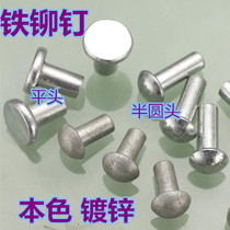 Iron Rivet Round Head Iron Rivet Flat Iron Rivet Natural Color Galvanized Plated Color Zinc