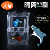 Guppy fish incubator double layer self-floating incubator juvenile fish breeding acrylic isolation box Big