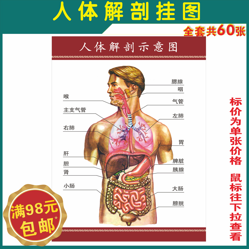 大赌石完结全文阅读