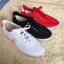 Martial arts shoes Qingdao double star tai chi shoes men's and women's canvas training shoes children martial arts tai chi shoes special price