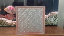 Acid-covered edge color powder gem pattern glass brick partition wall glass brick background wall renderings