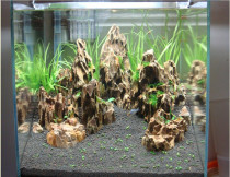 song pi shi zao jing shi fish tank song pi shi long gu shi hu pi shi plants zao jing shi