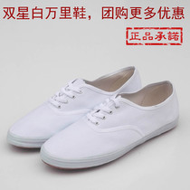 Double star canvas shoes White Wanli shoes men and women sports shoes White net shoes light gymnastics shoes White work shoes