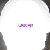 PA rubber powder Co-polyamide hot melt adhesive powder Hot melt grade PA powder Textile paper leather powder