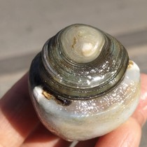 Taobao live room 100 yuan link special shot