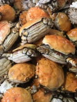 Annual secret spicy crab 250 grams per can of new products special offer 3 cans and 1 can