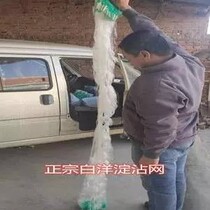 Baiyangdian sticky net wire mesh fishing net Three-layer net sink net floating net hanging net Crucian carp net Pull net drag white bar net dip net