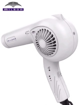 Japan MILBON Mei Li Pan hair dryer hairdressing special hair salon Japanese style high temperature high power blowing