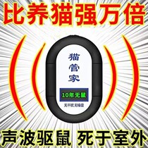 Electronic cat ultrasonic rat repellent high power home intelligent cat butler hurrying to catch the rat-like mouse-one-socket end