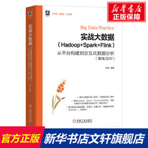 Actual big data (Hadoop Spark Flink) From platform construction to interactive data analysis (offline real-time) Genuine books Xinhua Bookstore flagship store text