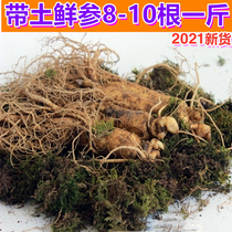 6-year-old Changbai Mountain with soil fresh ginseng 8-10 root 500g Jilin Fusong soup soaking wine N wild ginseng