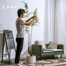 Simulation golden dog Fern green plant landscape landscape fake tree potted golden monkey Fern bonsai indoor living room decoration ornaments