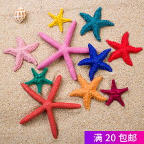 Resin Emulation Steamed Buns Sea Star Shells Creative Mediterranean Style Home Decoration Goods Hanging Decoration Wall Decoration