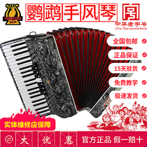Parrot brand YINGWU accordion Bayan 32 48 60 96 120 bass four-row spring beginner performance