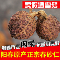 (Export level) Yangchun Chunchun Amomum genuine specialty Sha Ren wild Yangchun sand Guangdong Amomum Chinese medicine nourishing stomach