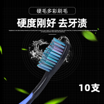Toothbrushes adult teeth smoke stains whitening household mens medium hard hair coarse hair wave-shaped 10