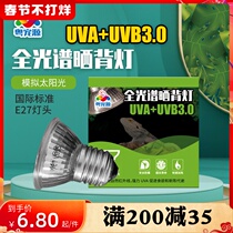 Reptile box turtle tank UVB3 0 lamp heating lamp sun lamp turtle box water turtle heating lamp sunlight 25W-75W