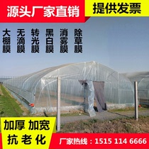 Agricultural drip-free film thickening transparent plastic film greenhouse greenhouse film vegetable insulation Film Culture black and white film po