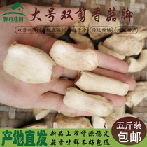 Mushroom foot dry goods large number double cut dry selection polished no impurities Yunnan shiitake mushrooms root five catties
