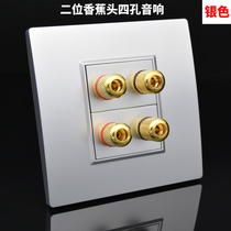 Two-position four-head audio socket silver 86-type wall concealed household four-hole terminal plug 4-head speaker panel