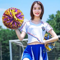Cheerleading Flower Ball Cheerleading Team Cheerleading Team Cheerleading Team Dance Flower Hand Hand Flower Flower Dance Performance
