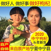 2021 New authentic Ningxia specialty Zhongning wolfberry no-wash first medlar wolfberry special red wolfberry 500g