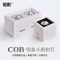 Ballen light led spotlight single head double head square COB surface installation living room household ceiling lamp aisle lighting box light