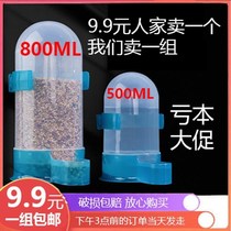 Little Ding oversized bird drinking fountain bird drinking cup automatic feeder feeding container box