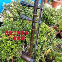 Advanced Jinghu Musical Instrument Adult Playing Musical Instrument Purple Bamboo Jinghu National Musical Instrument Professional Adult Jinghu Send Accessories