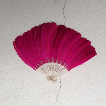 Classic feather fan dance fan natural feather