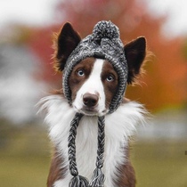 Dull House exported to the United States pet dog autumn winter wool hat large dog dog dog dog fight knitted hat spot