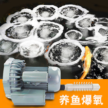 Haili large-scale oxygenation pump High-power fish pond fish farming atmospheric oxygen pump fish pond oxygen production 220v