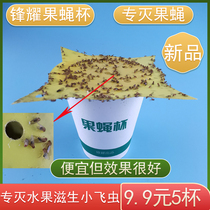 Remove the fruit fly cup small fly sticker fruit fly trap small flying insect trap fly nemesis indoor kitchen