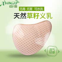 Breast mask with non-silicone prosthetic breast pad breast mask after grass seed surgery