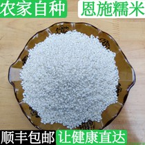 Round grain glutinous rice Enshi farmhouse self-planted old varieties of rice dumplings special rice 2kg to send zongzi leaves 50 Shunfeng