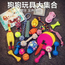 Dog molars puppies one month supplies Teddy dog toys play dog training gnawing resistant puppy eating bones