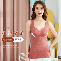 Exit Japan Warm Vest Free wearing bra thickened Develvet Chest Poly-up anti-sagging adjustment Type of undershirt Underwear