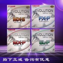 Tibhar straight Change FX MX EL-P-S National team table tennis rubber racket reverse glue set